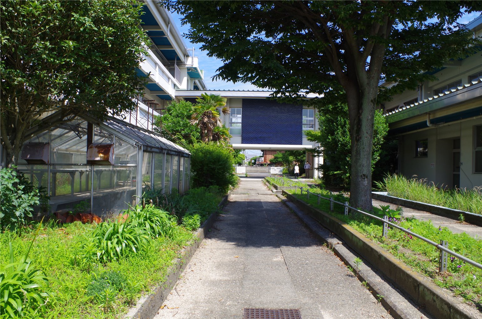 25_5の画像