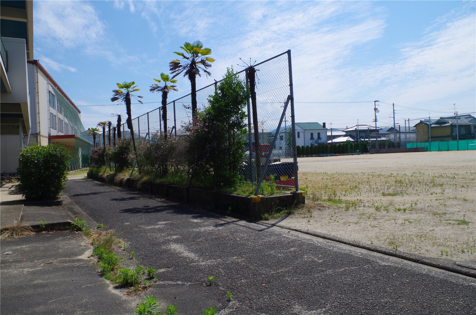 26_1の画像