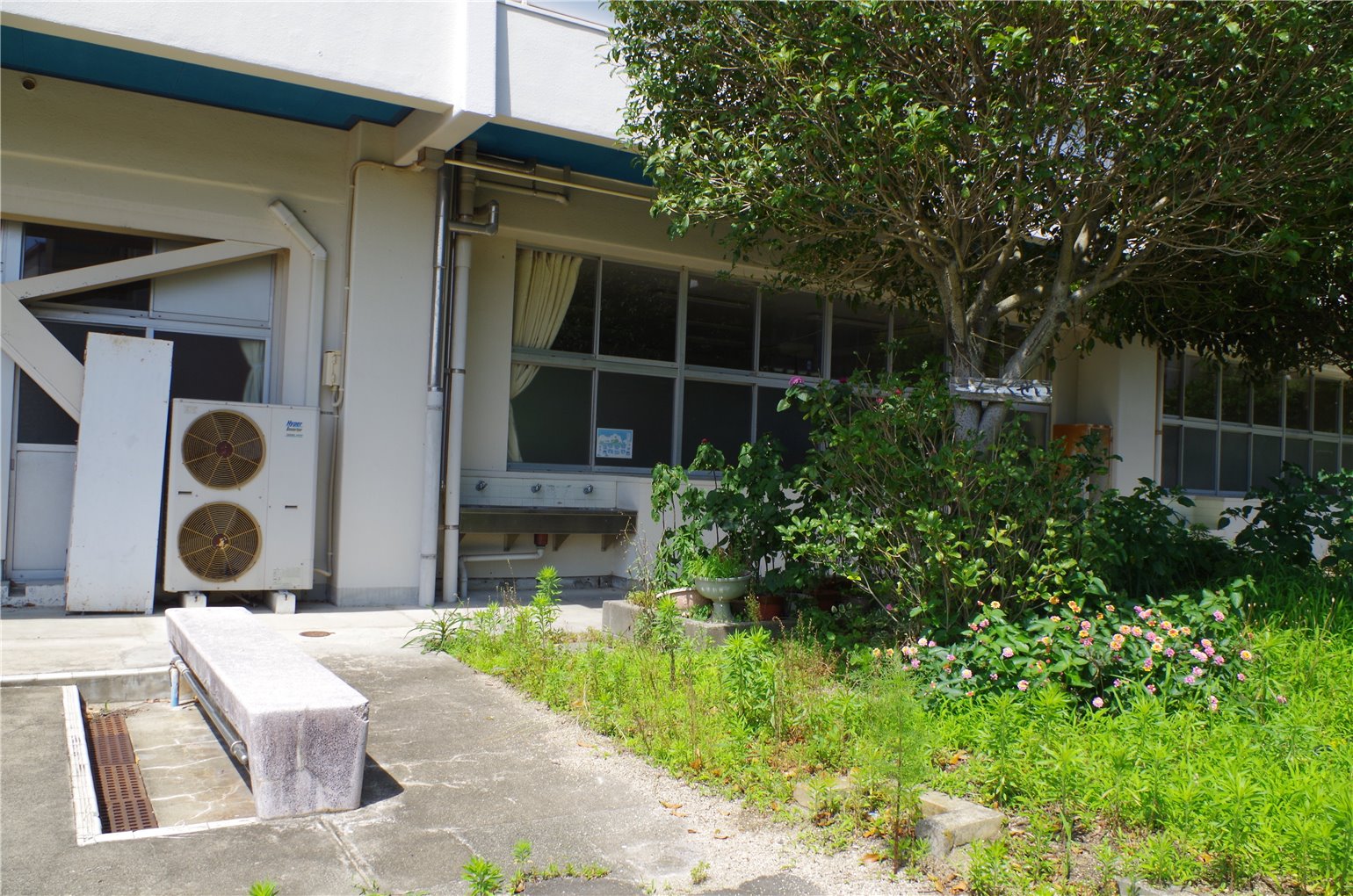 26_4の画像