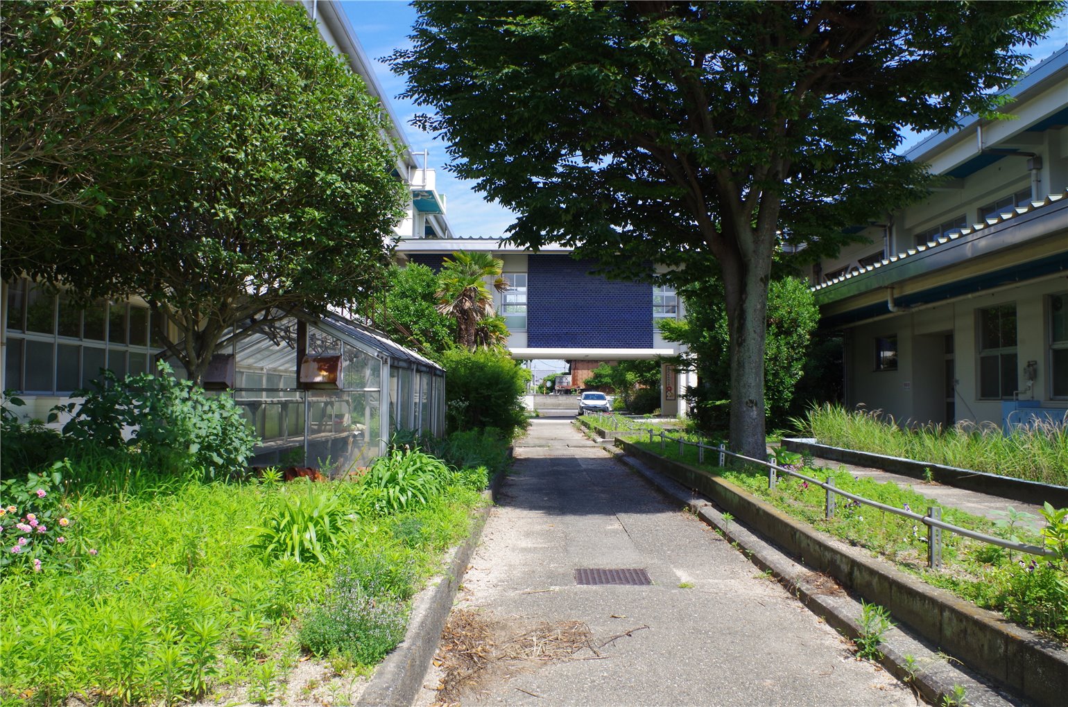 26_5の画像
