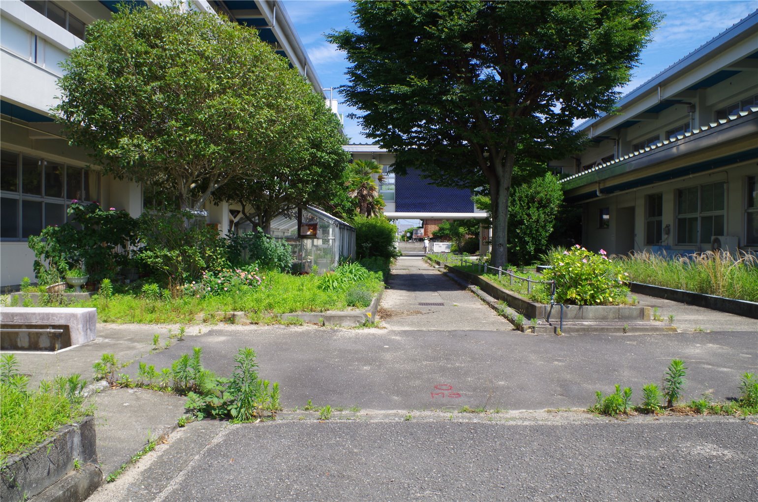 28_5の画像