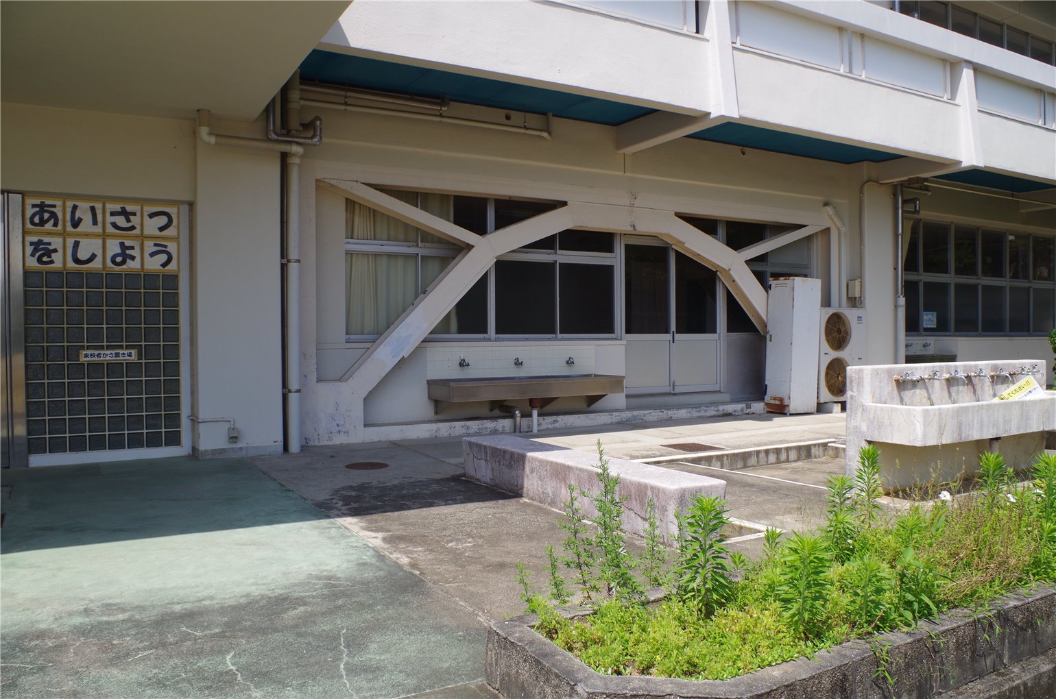 29_4の画像