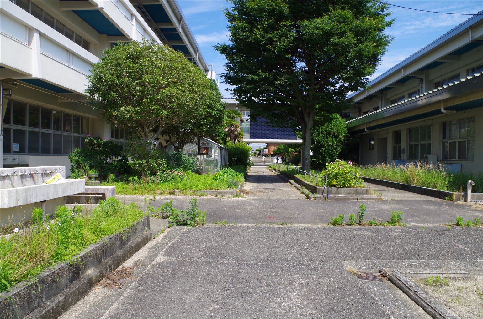 29_5の画像