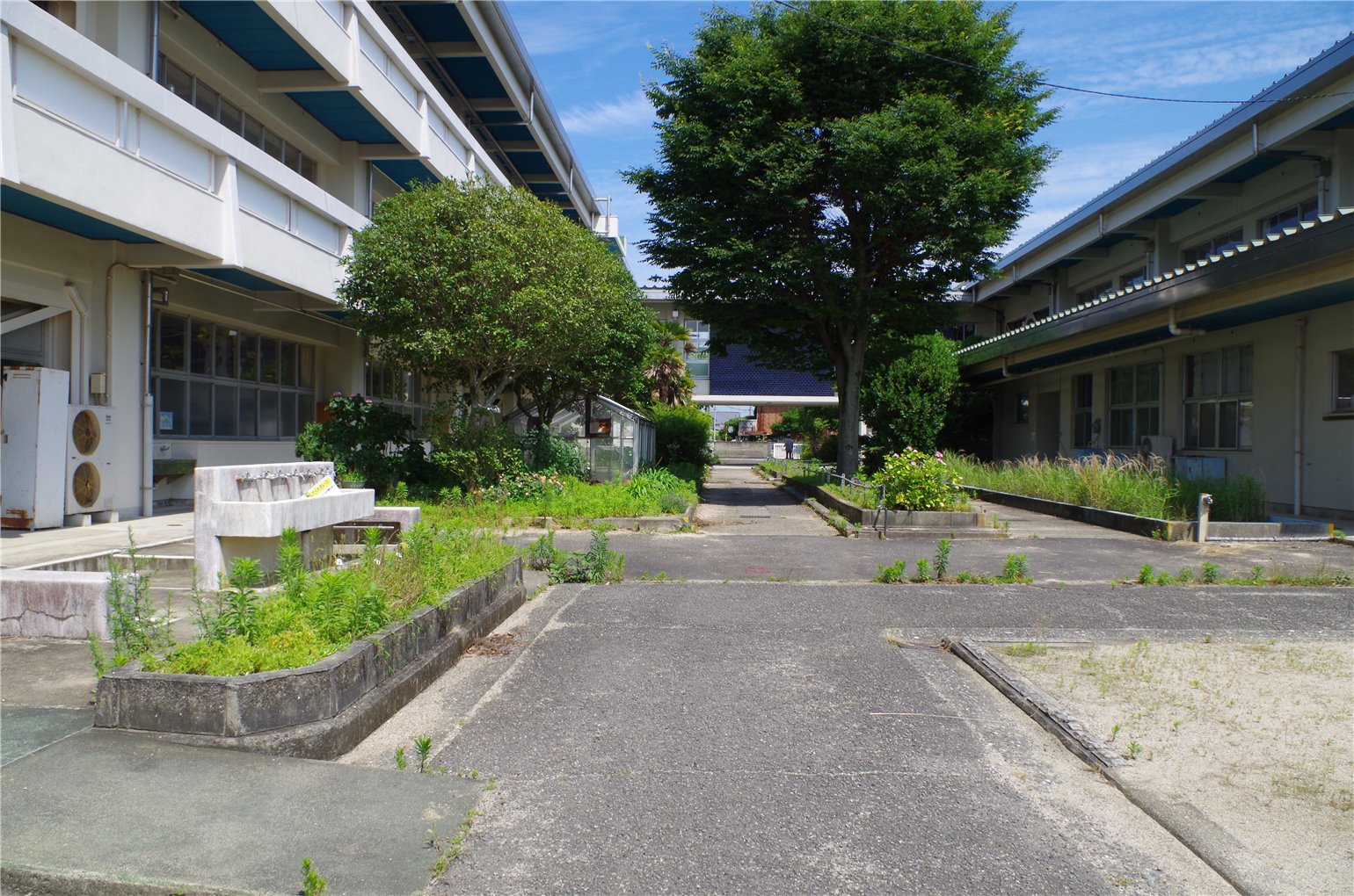 30_5の画像