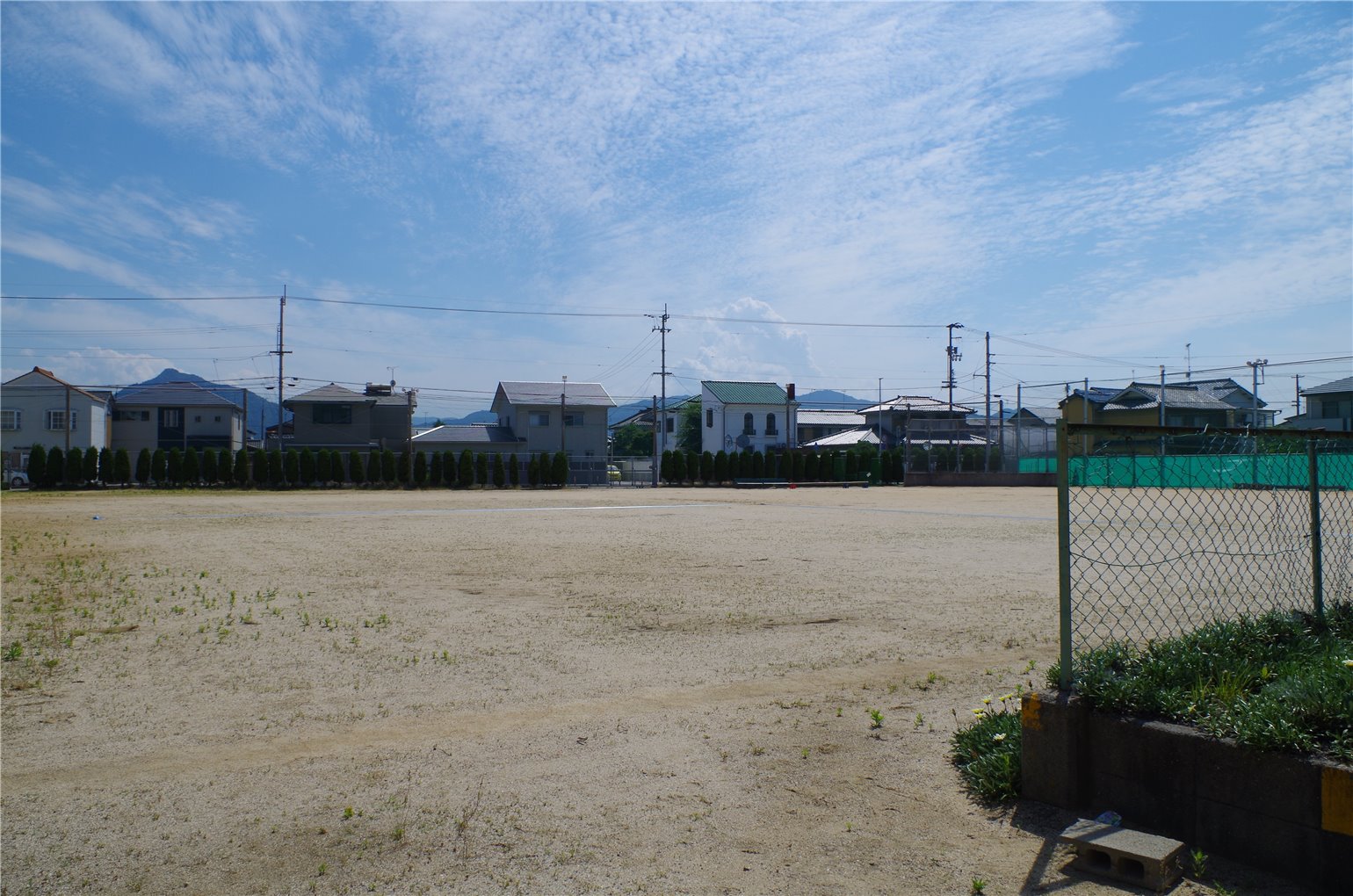 31_1の画像
