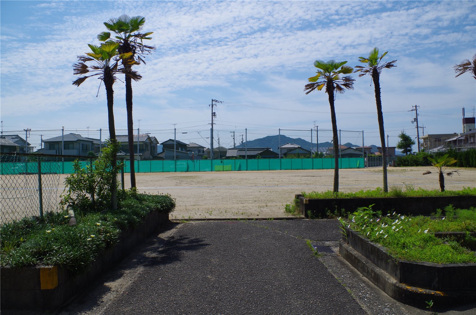 31_2の画像