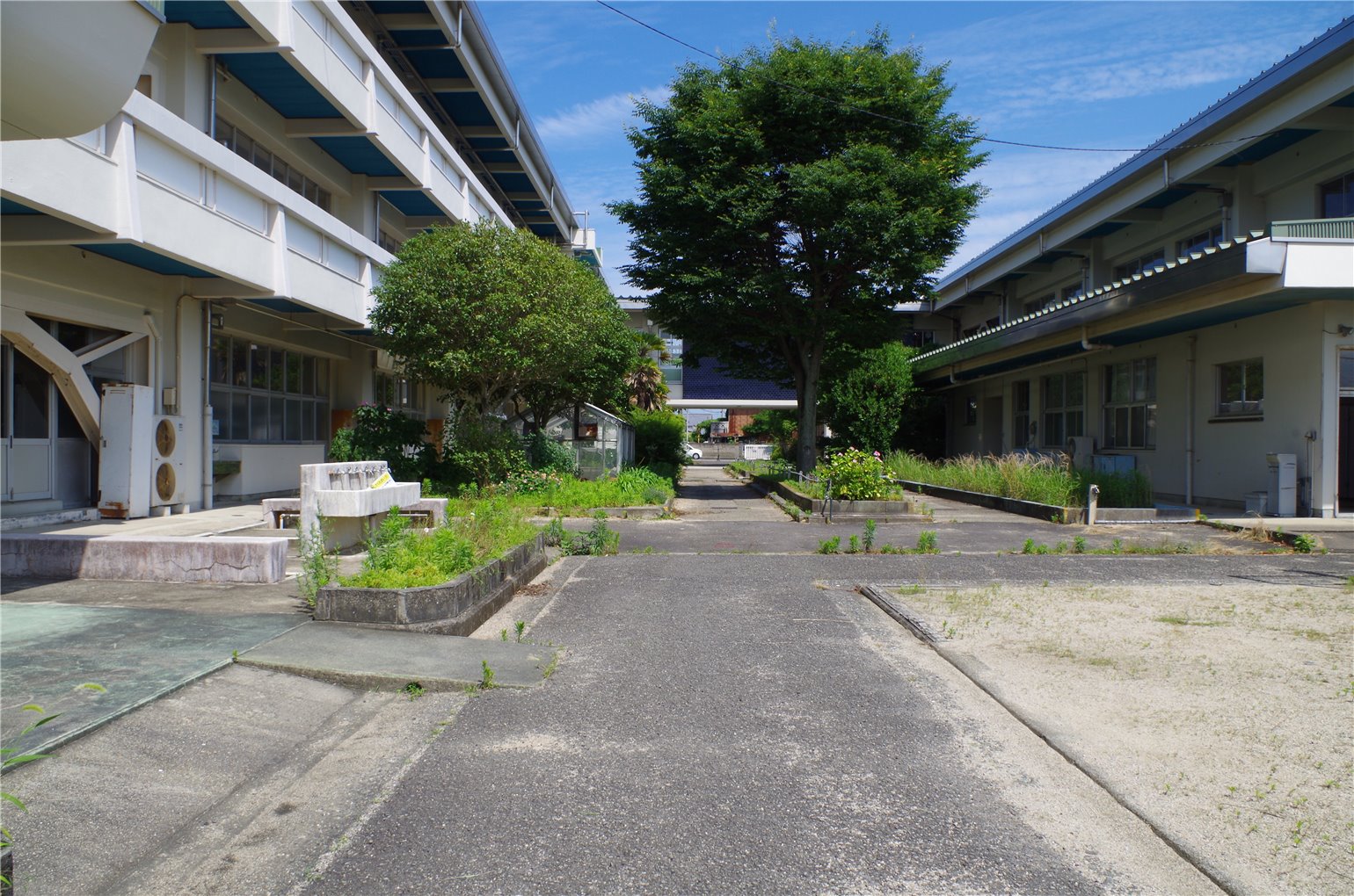 31_5の画像