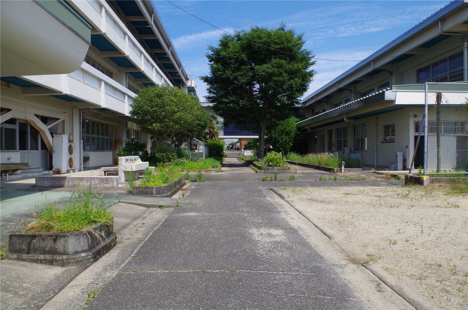 32_5の画像
