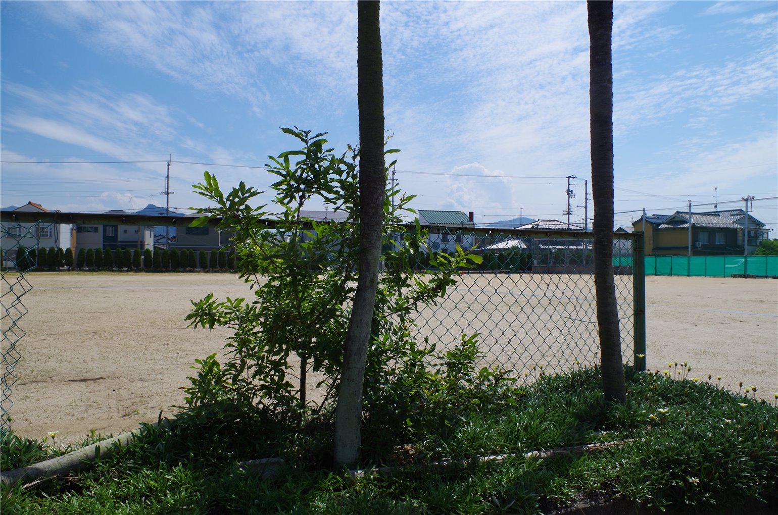 33_1の画像