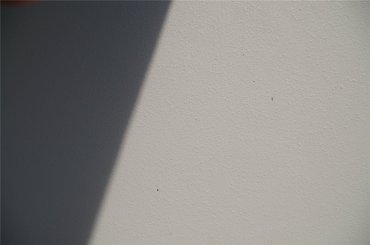 01_5の画像