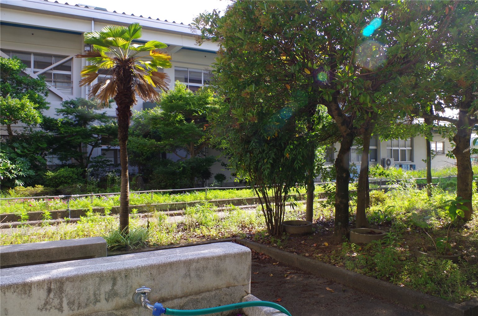 03_1の画像
