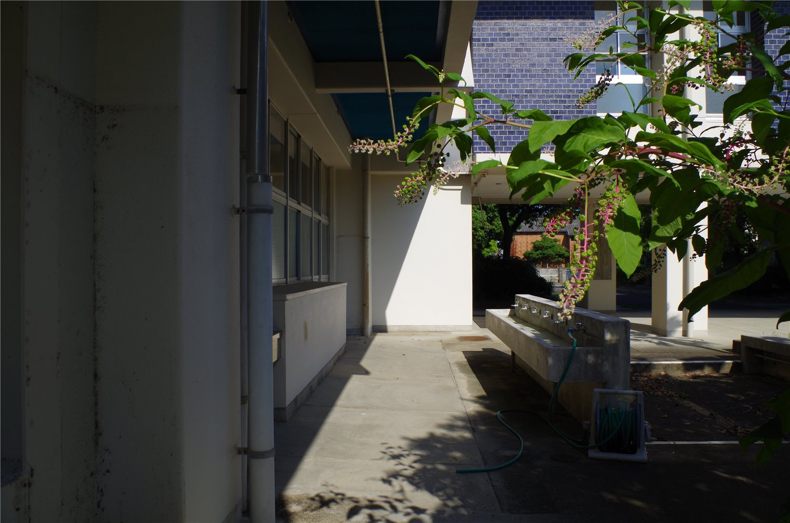 05_5の画像