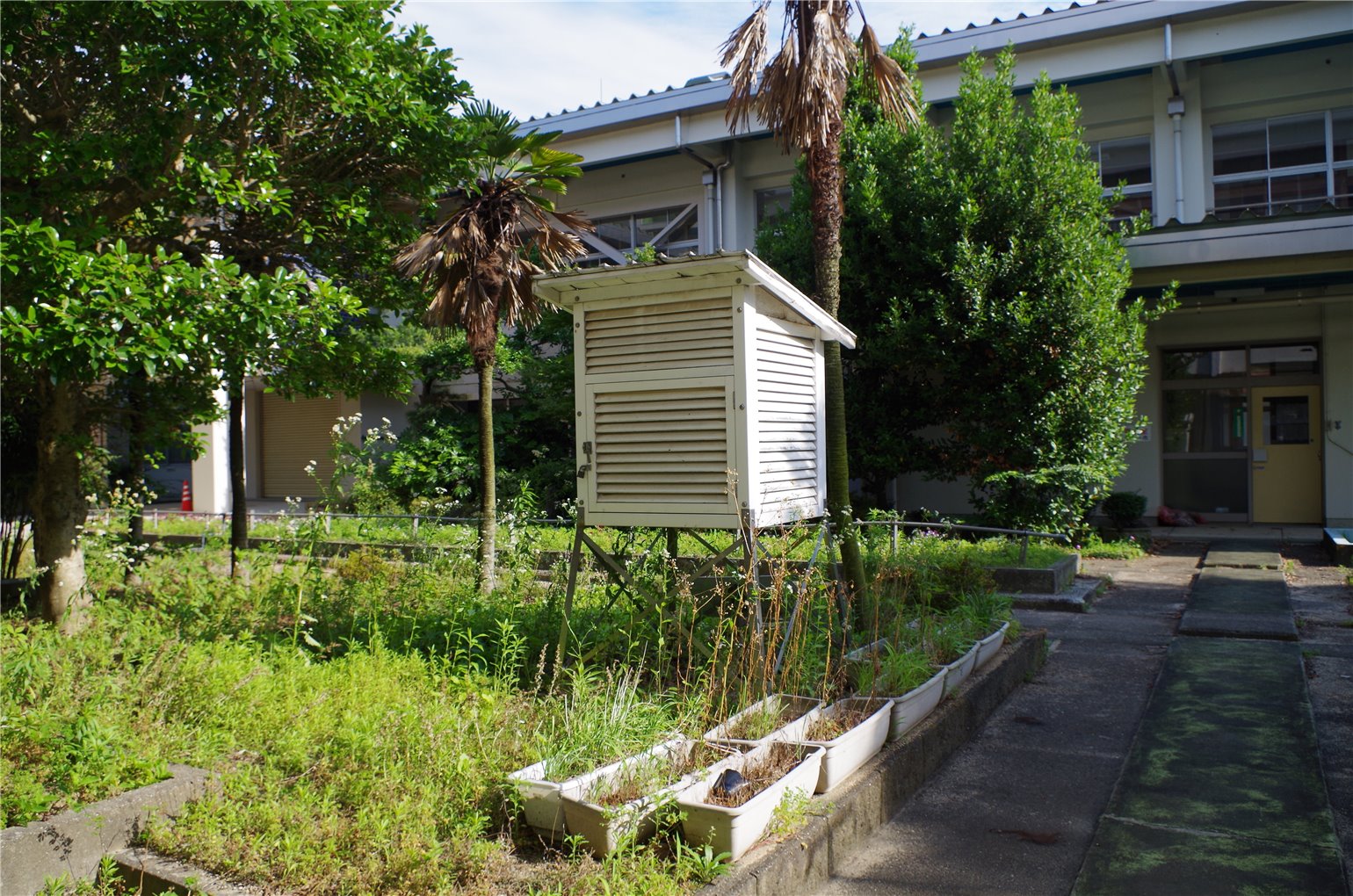 08_6の画像
