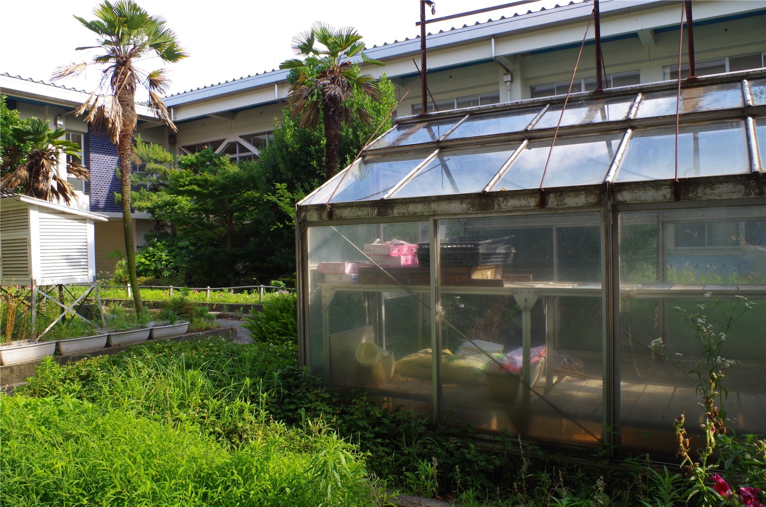 10_6の画像