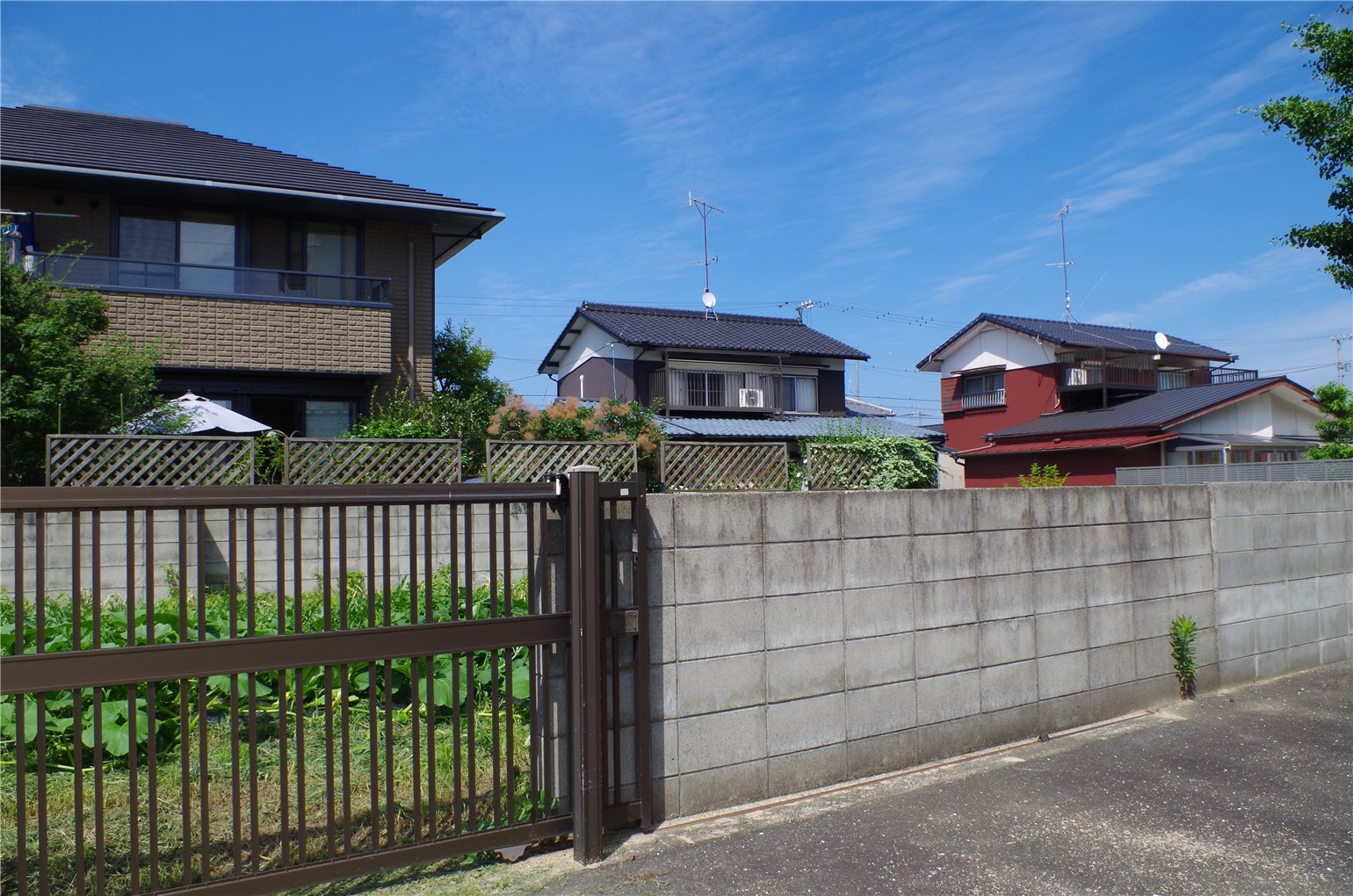 02_1の画像