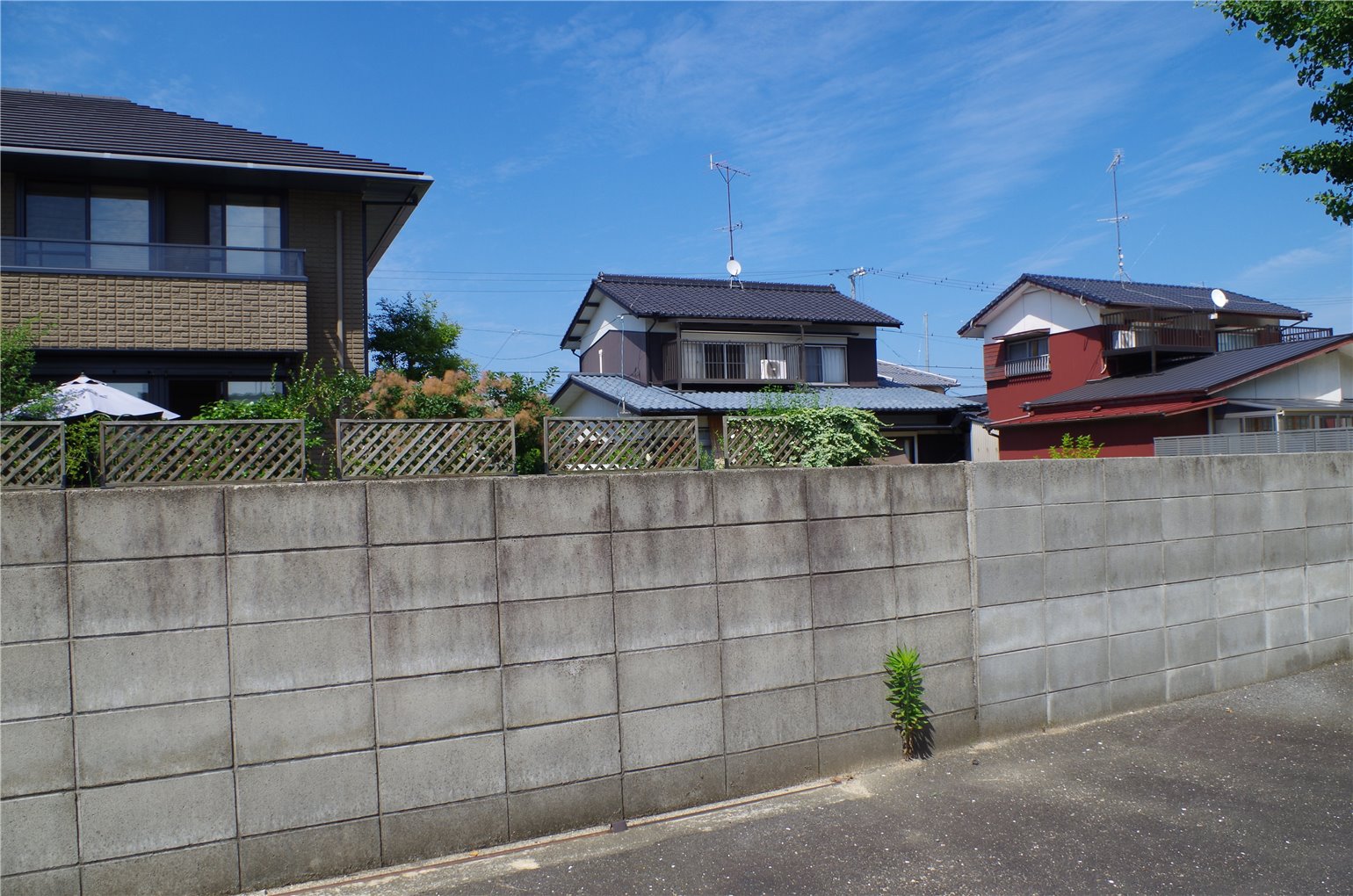 03_1の画像