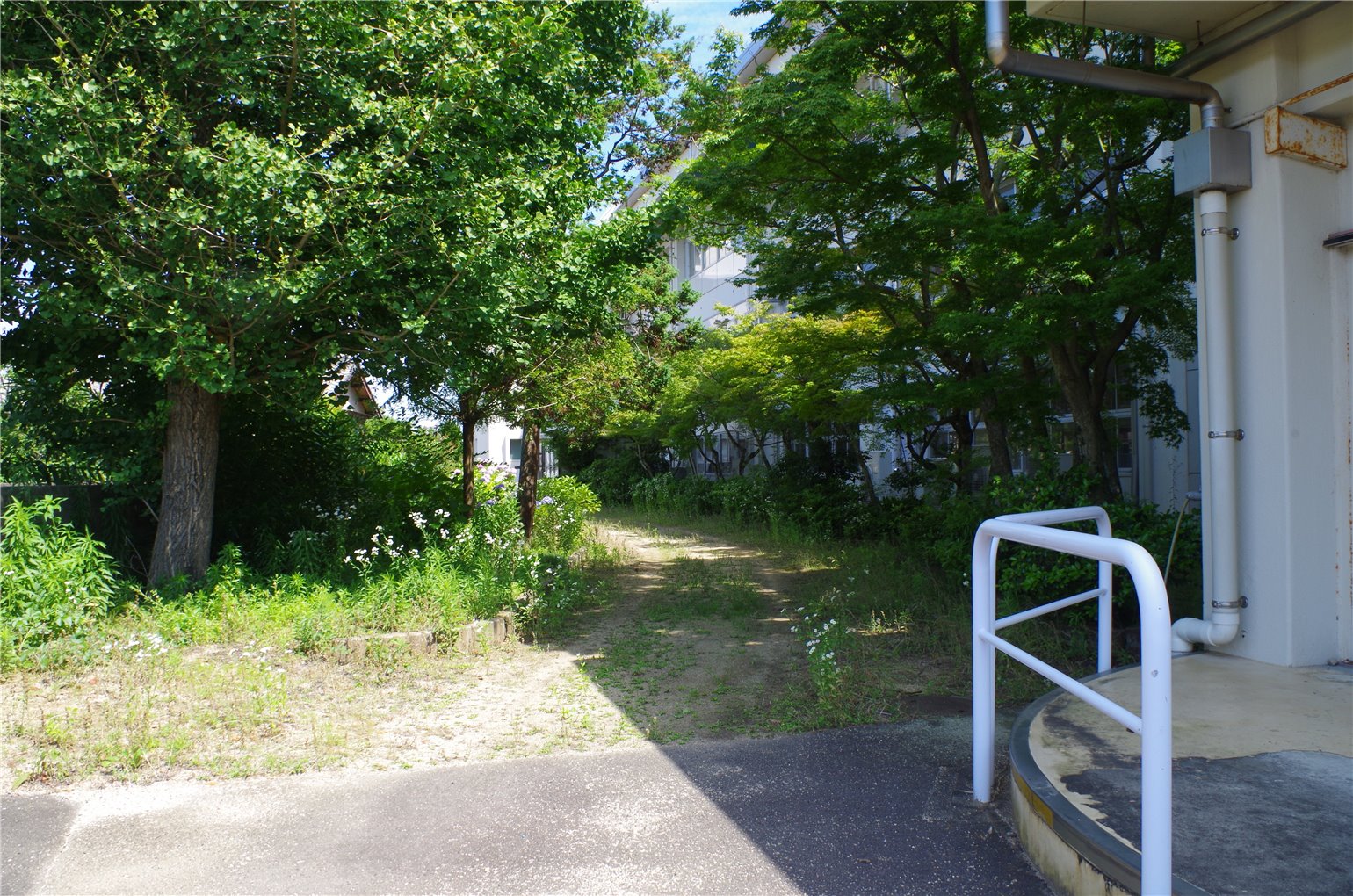 04_2の画像