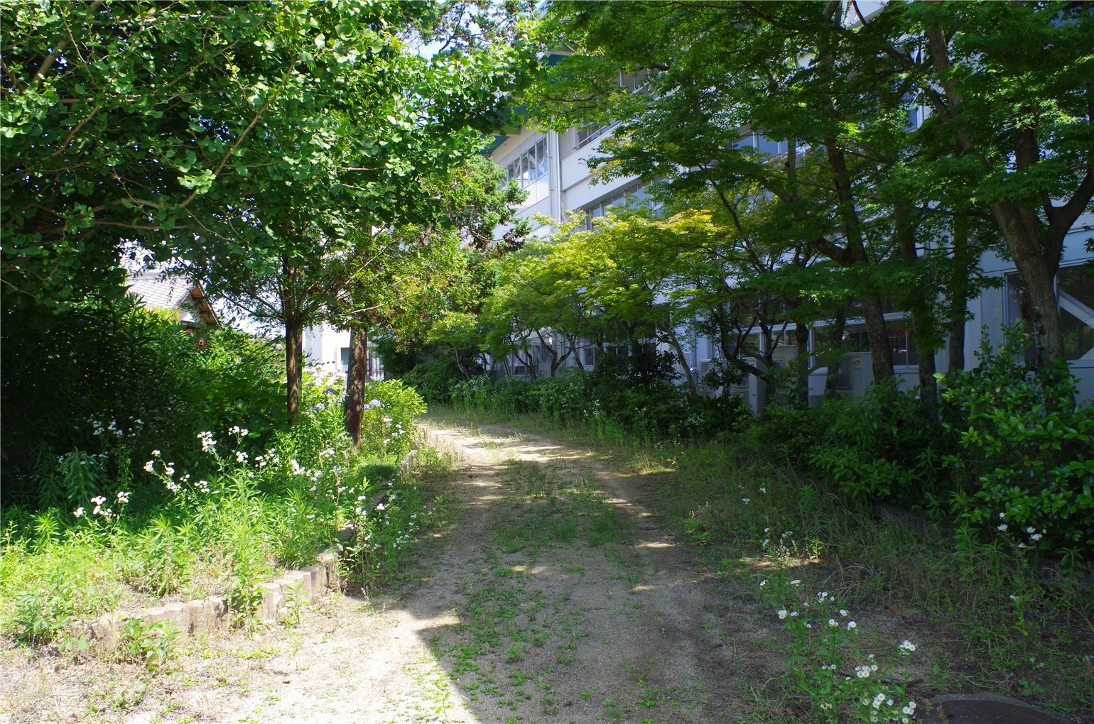 05_2の画像