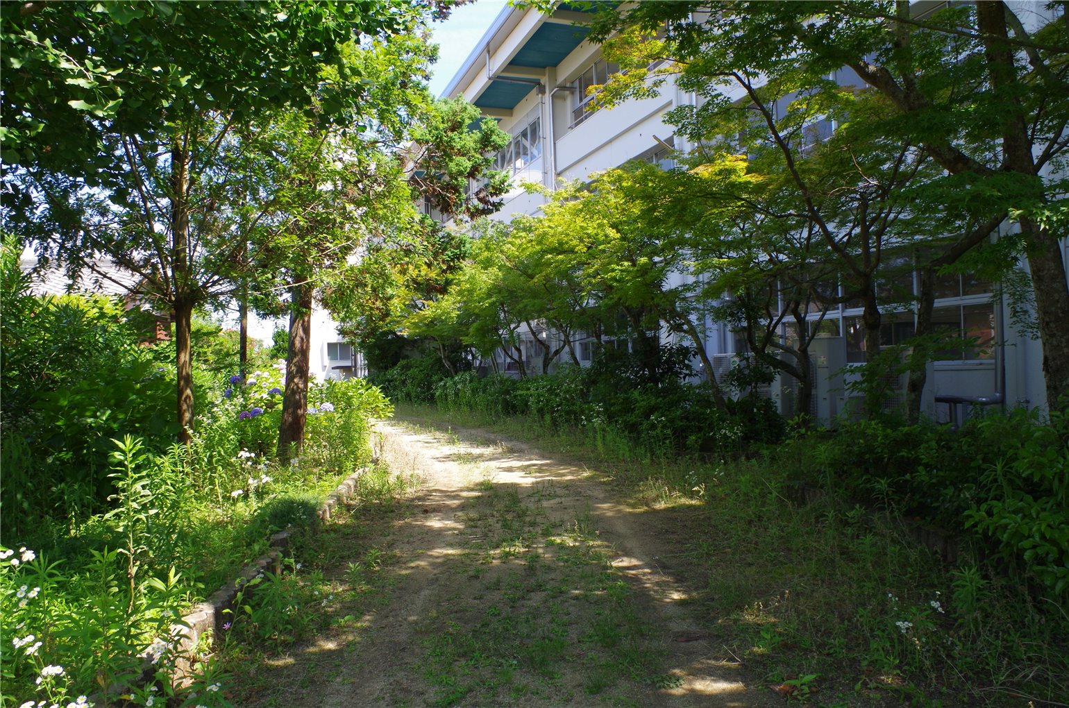 06_2の画像
