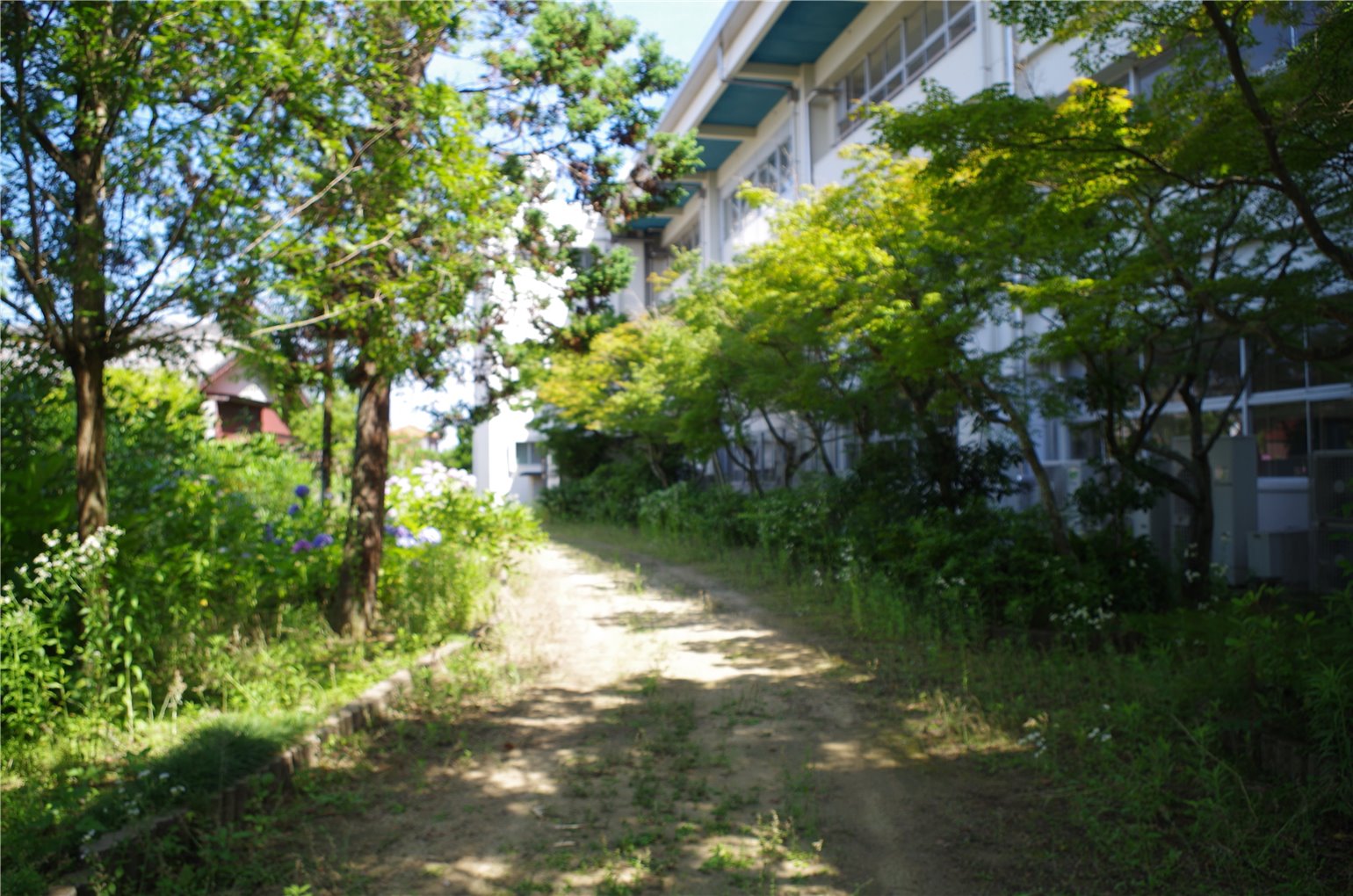 07_2の画像
