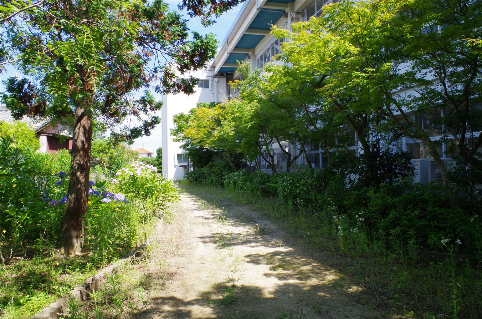 08_2の画像