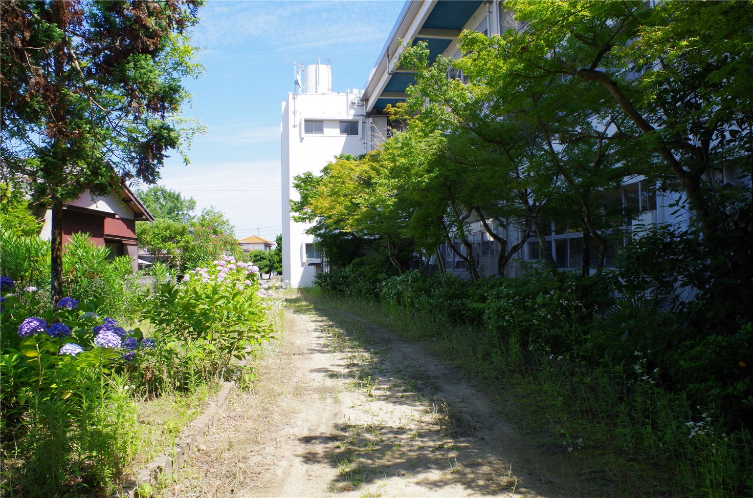 09_2の画像
