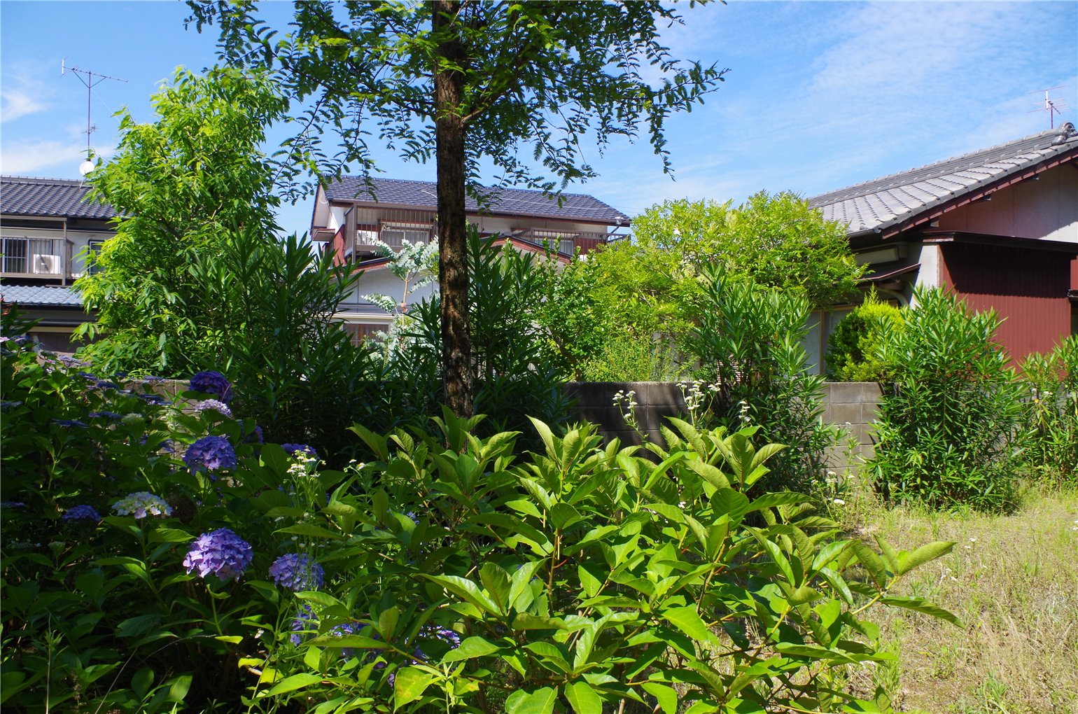 11_1の画像