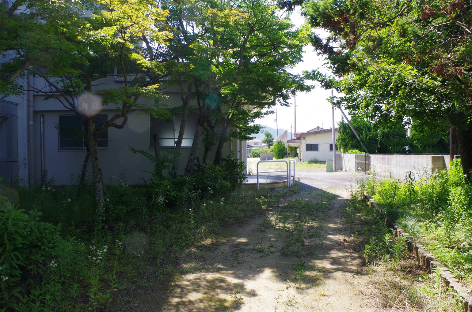 11_5の画像