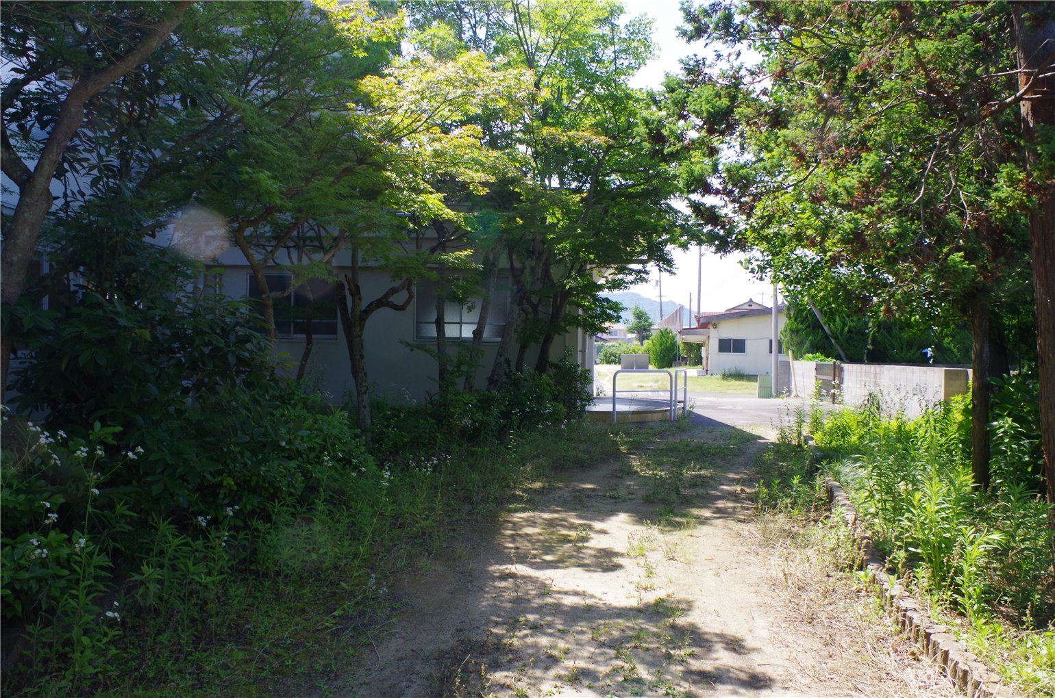 12_5の画像