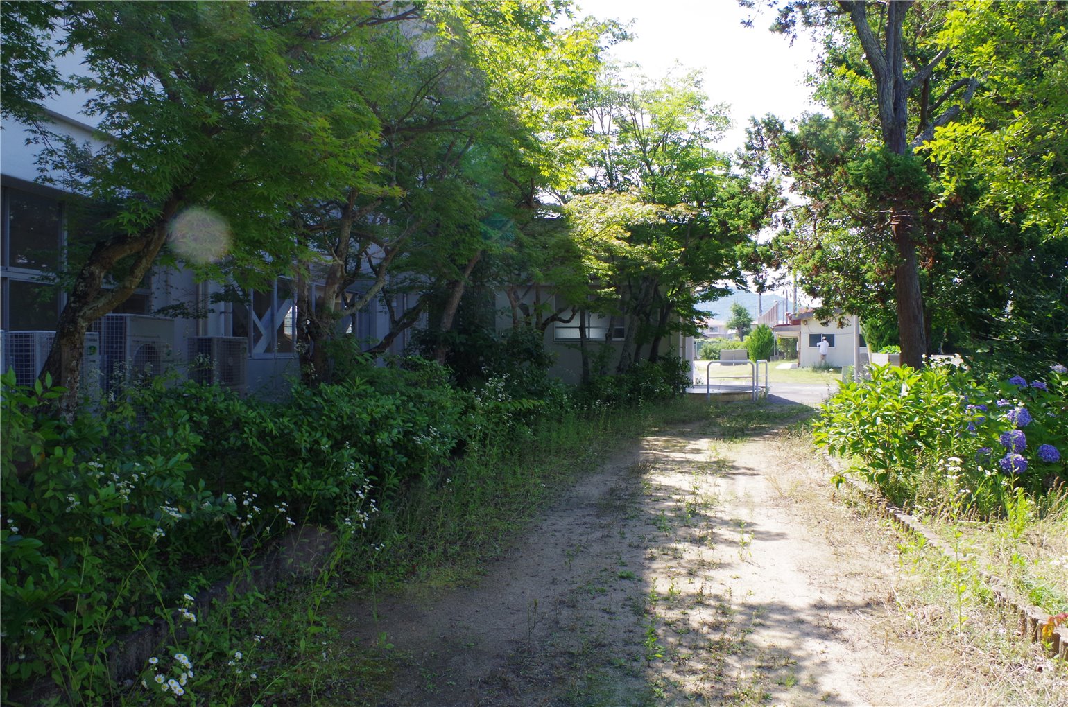 14_5の画像
