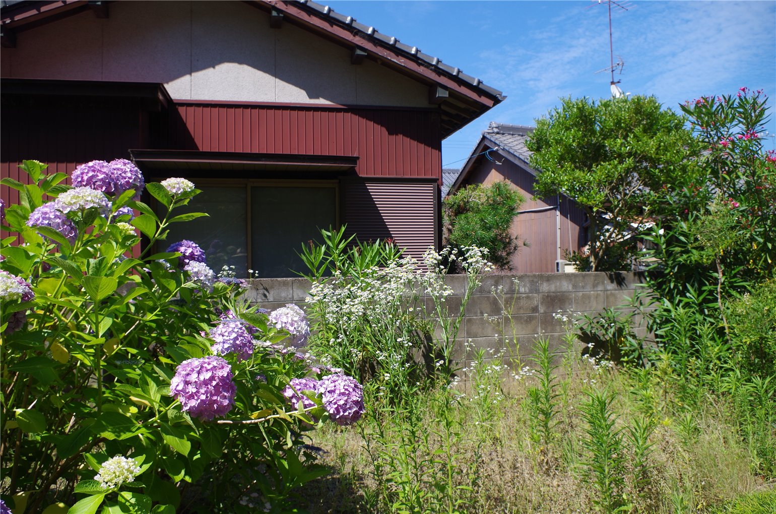 15_1の画像