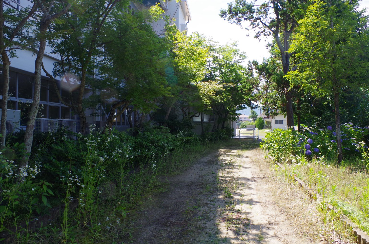 15_5の画像