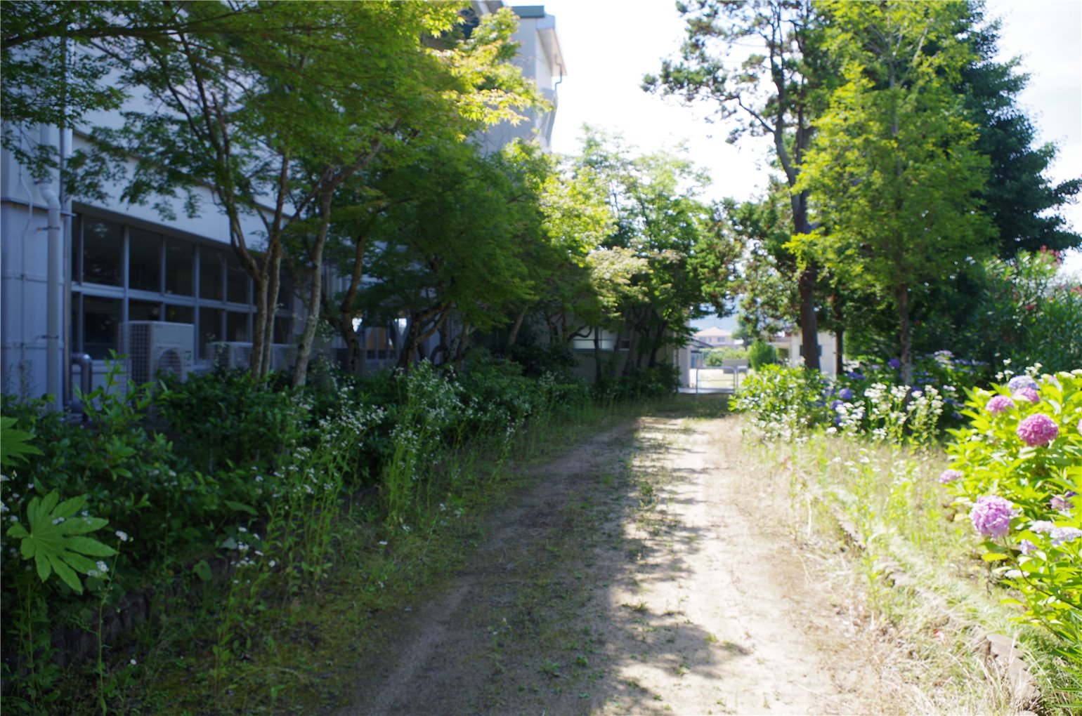 16_5の画像