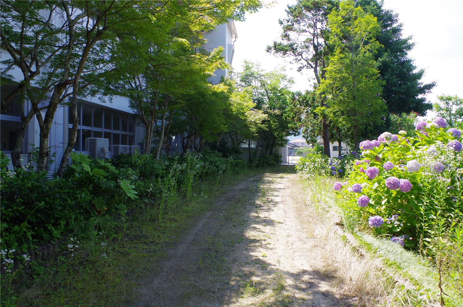17_5の画像