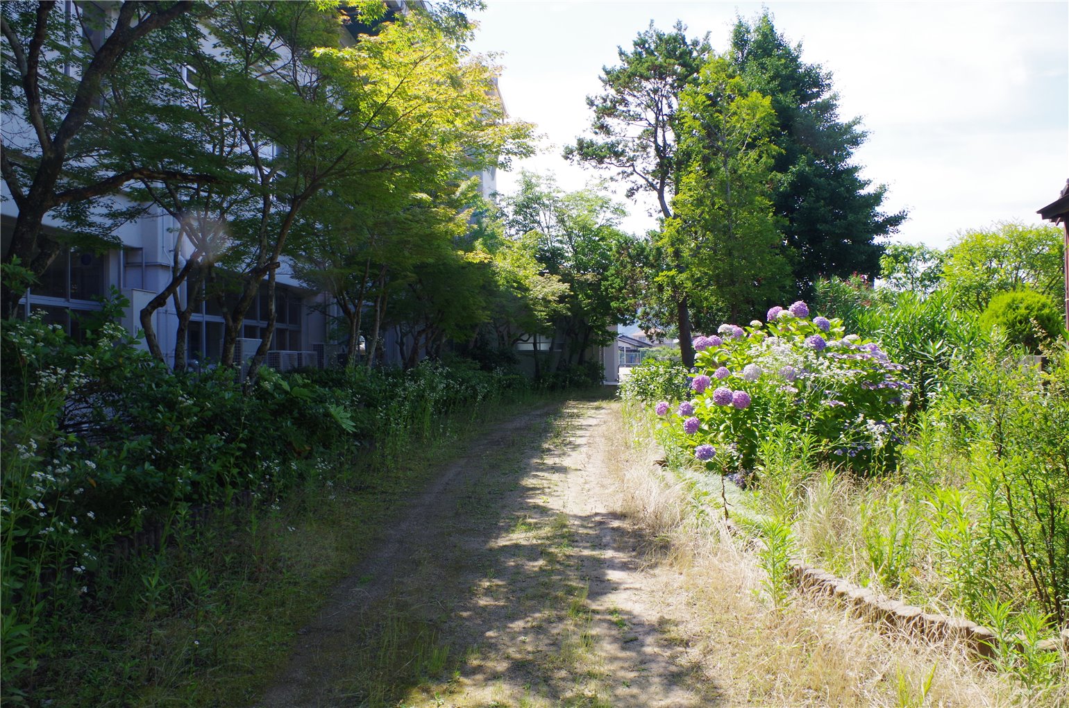 18_5の画像