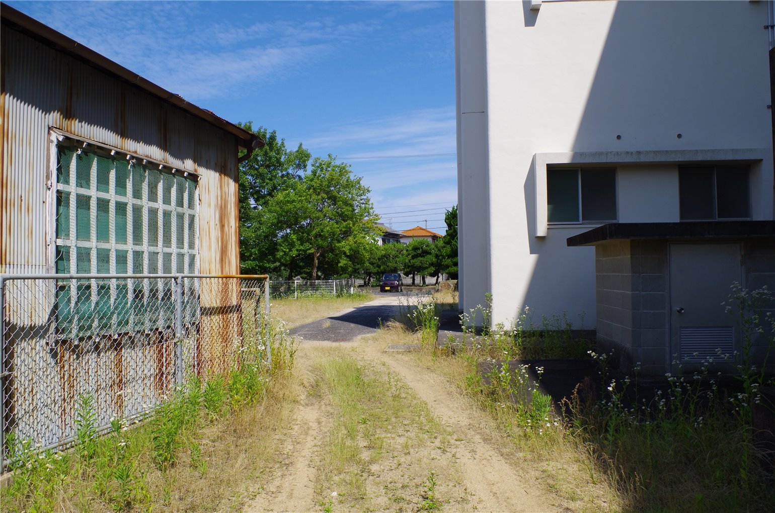 19_2の画像
