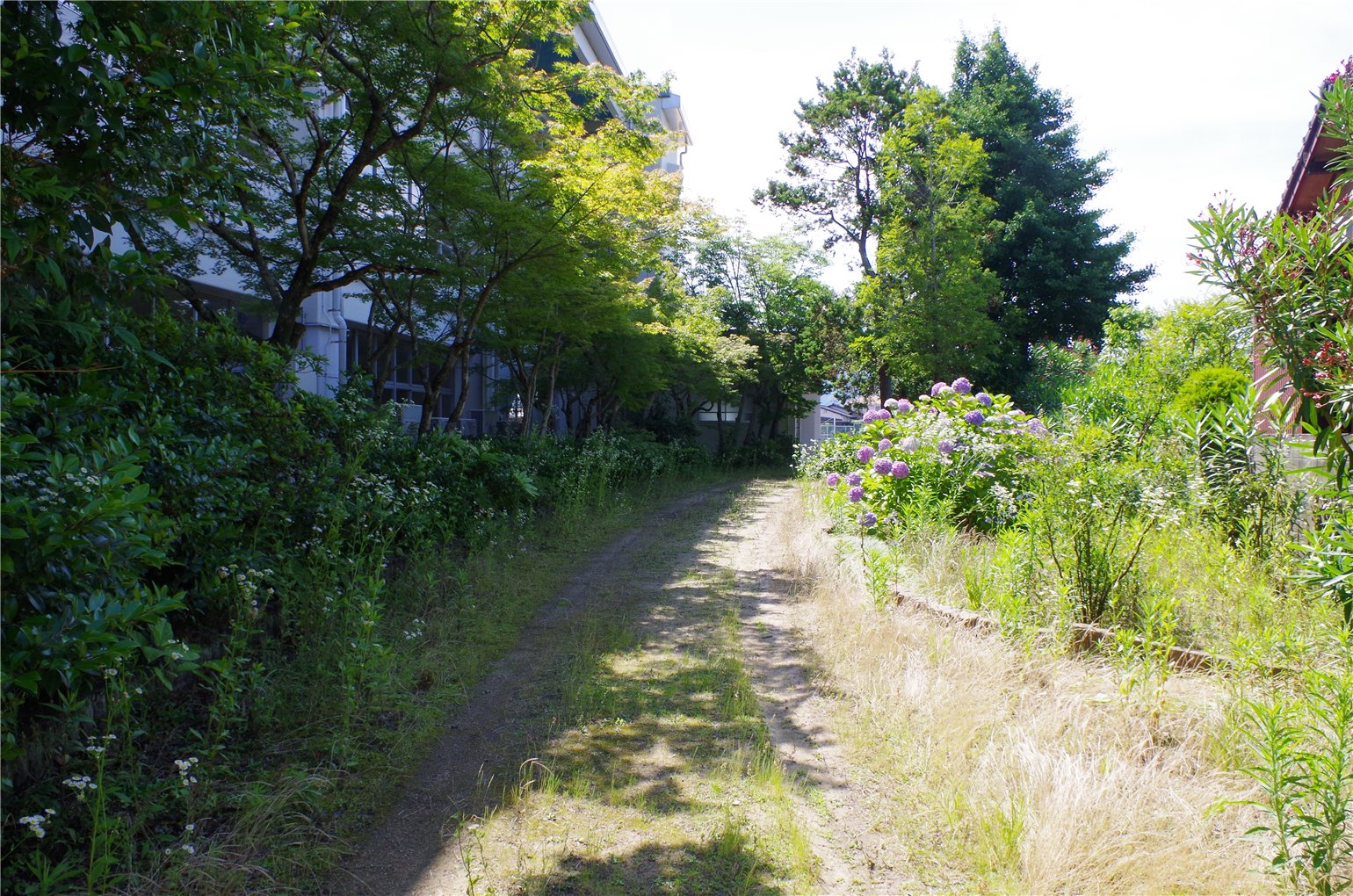 19_5の画像