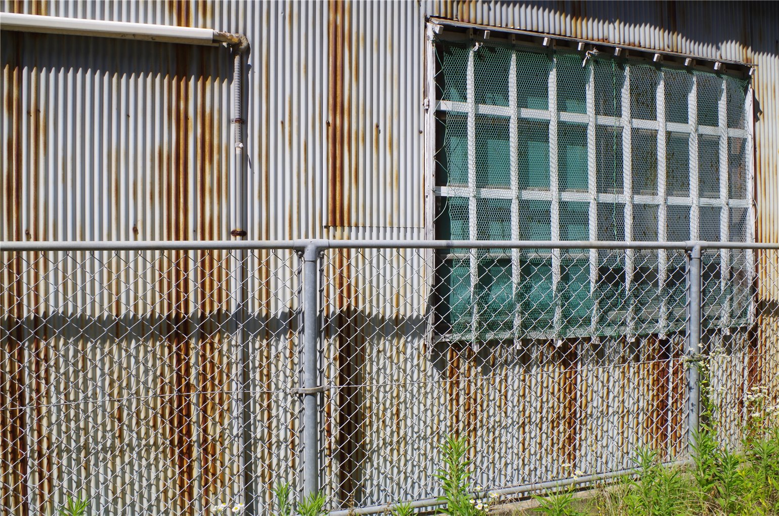20_1の画像