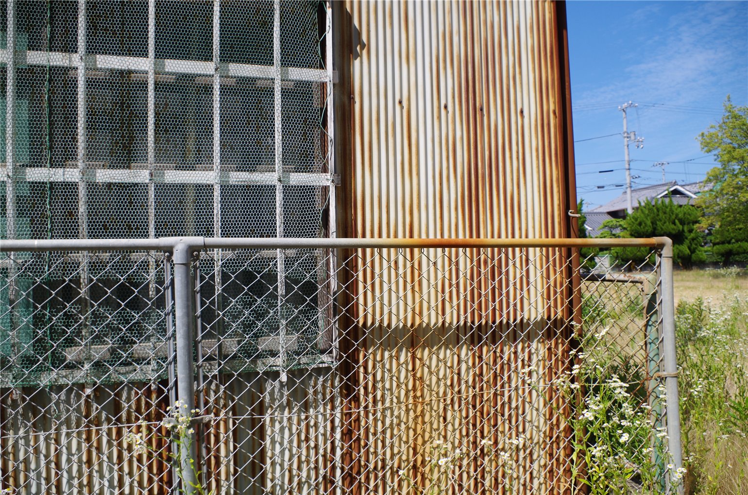 21_1の画像