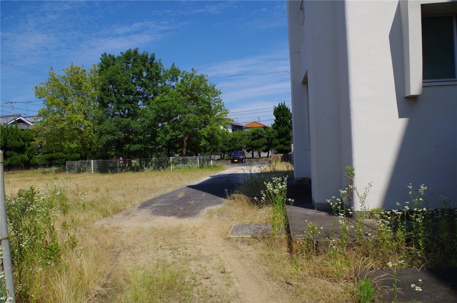 21_2の画像