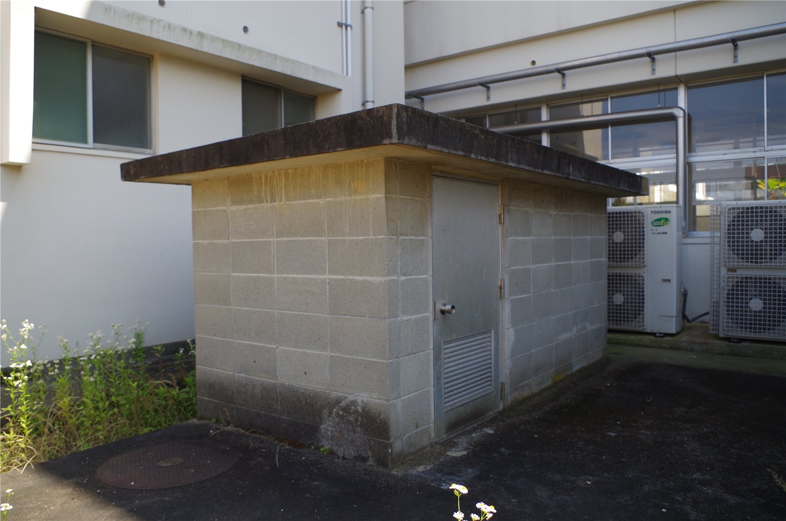 21_3の画像