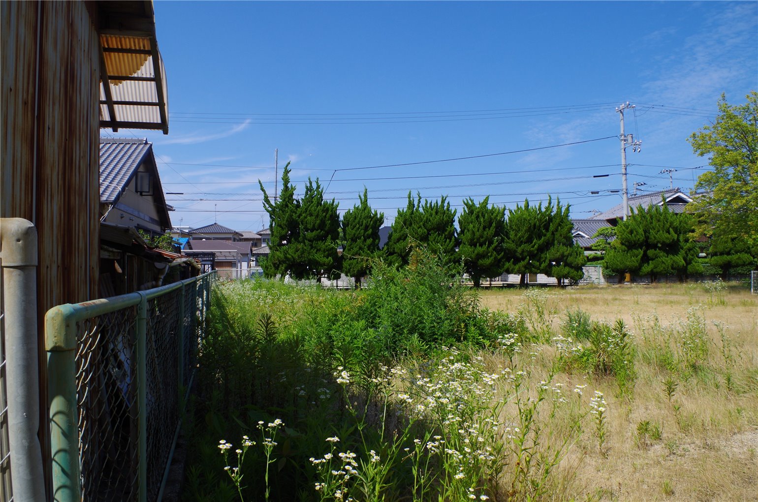 22_1の画像