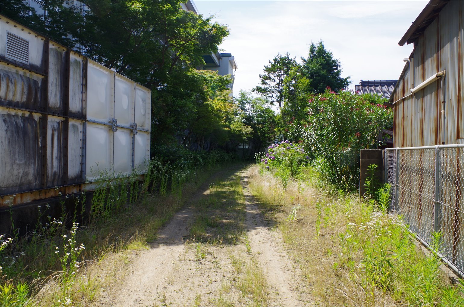 22_5の画像