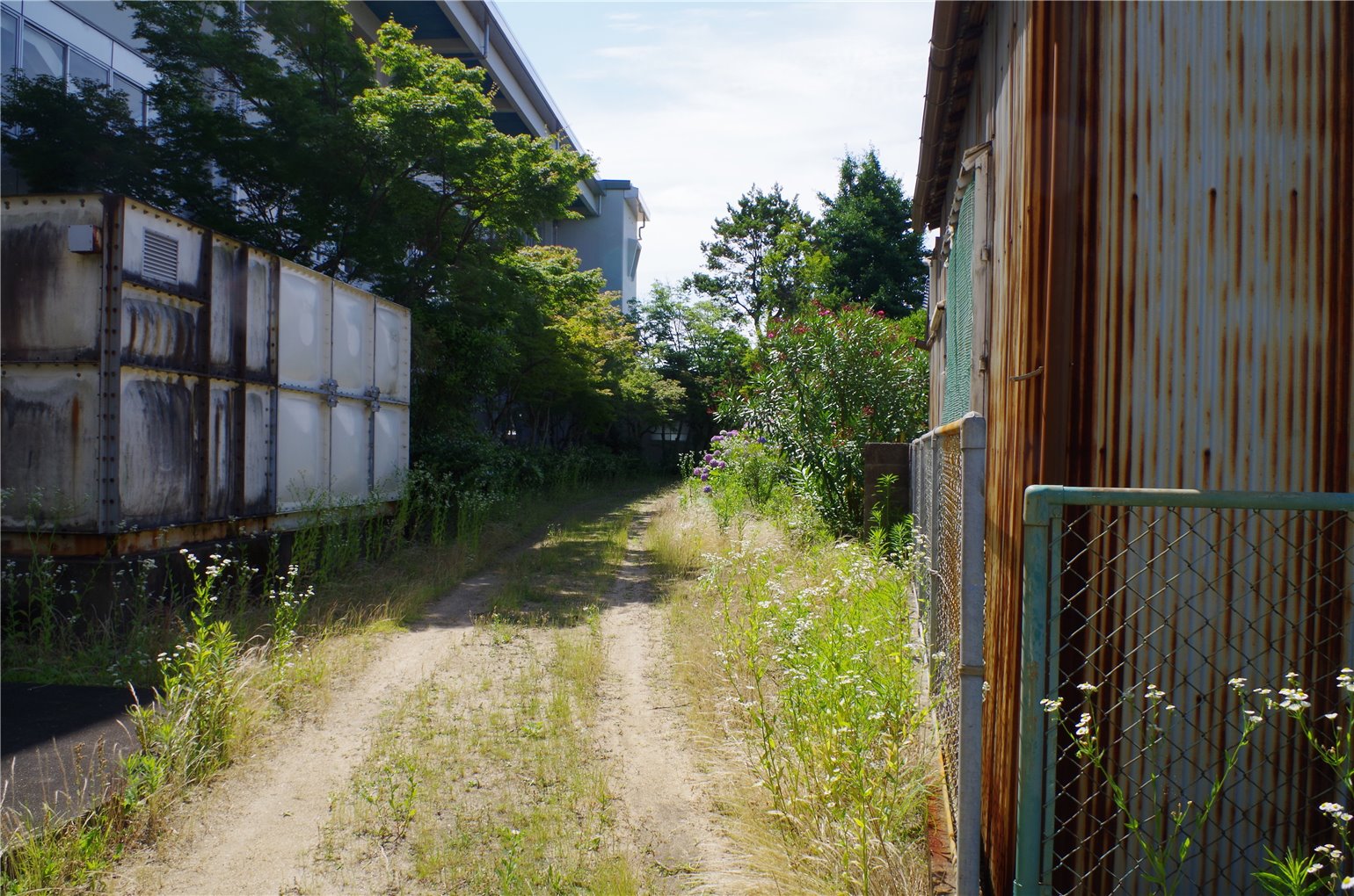 23_5の画像