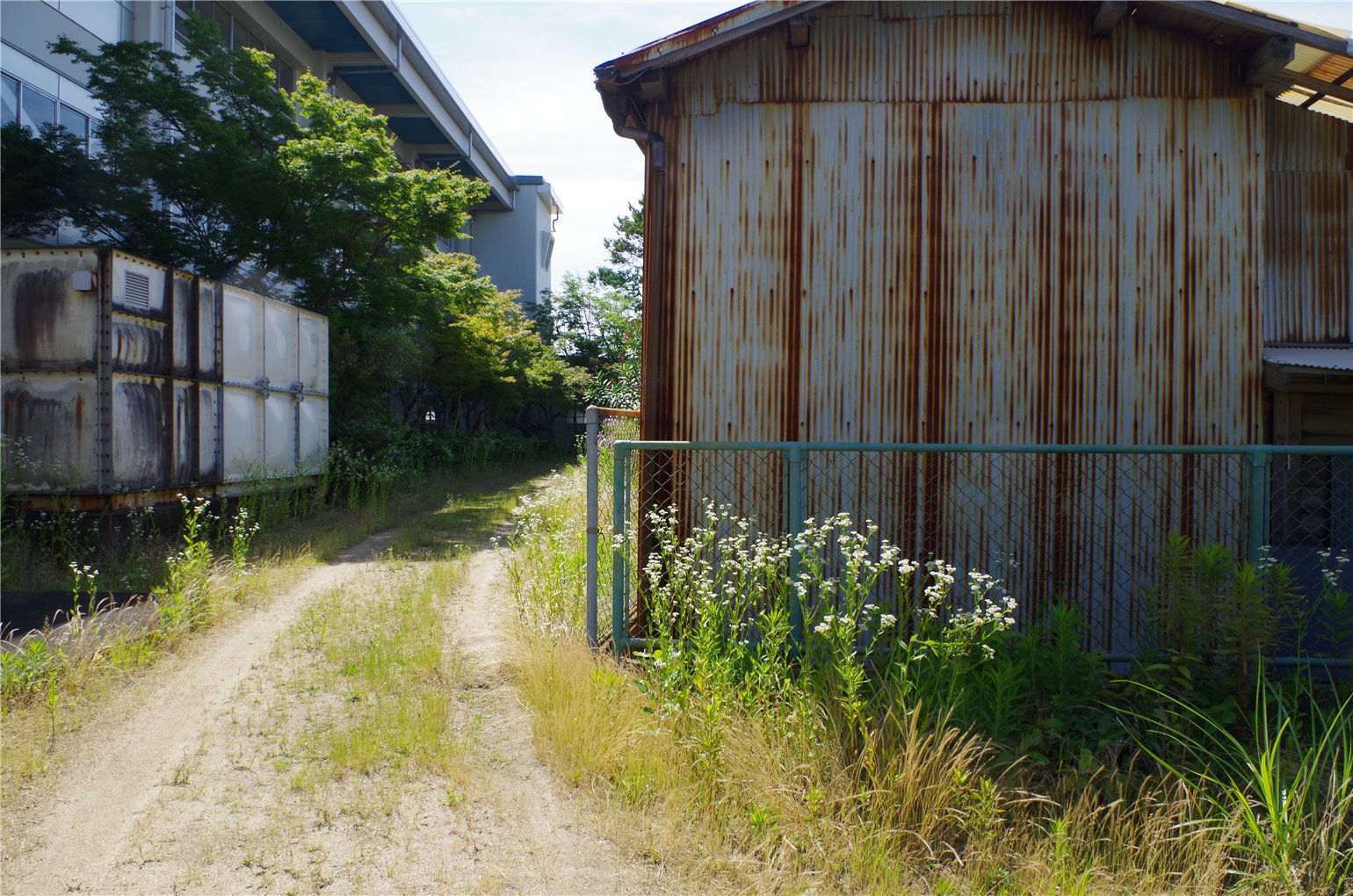 24_5の画像