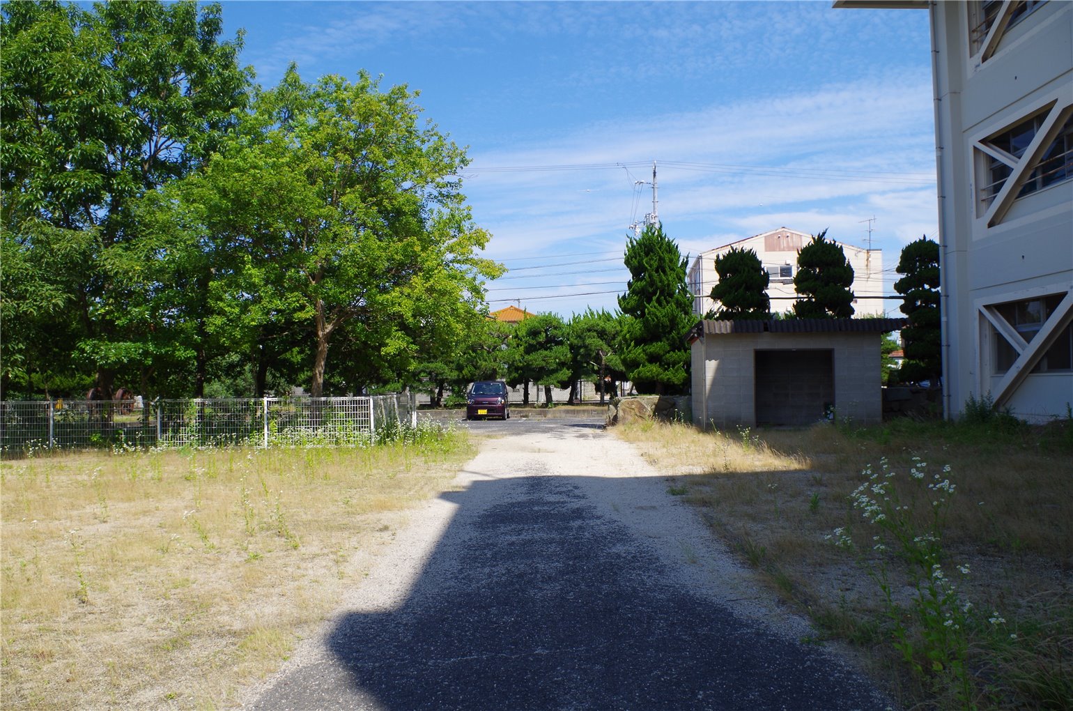 25_2の画像