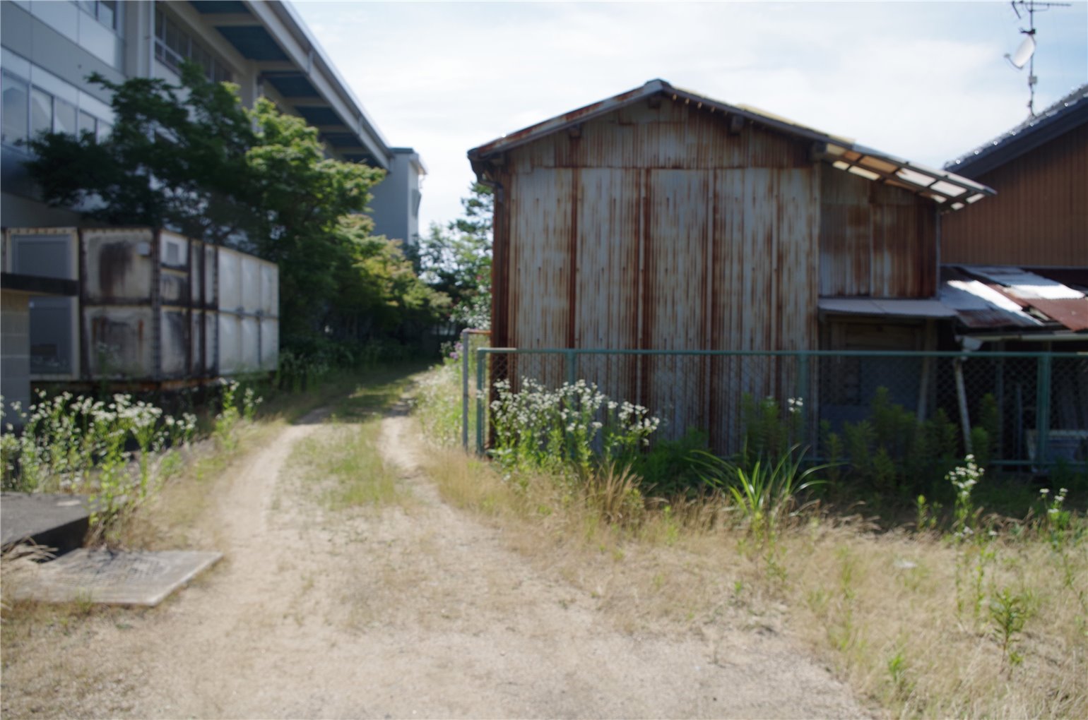 25_5の画像