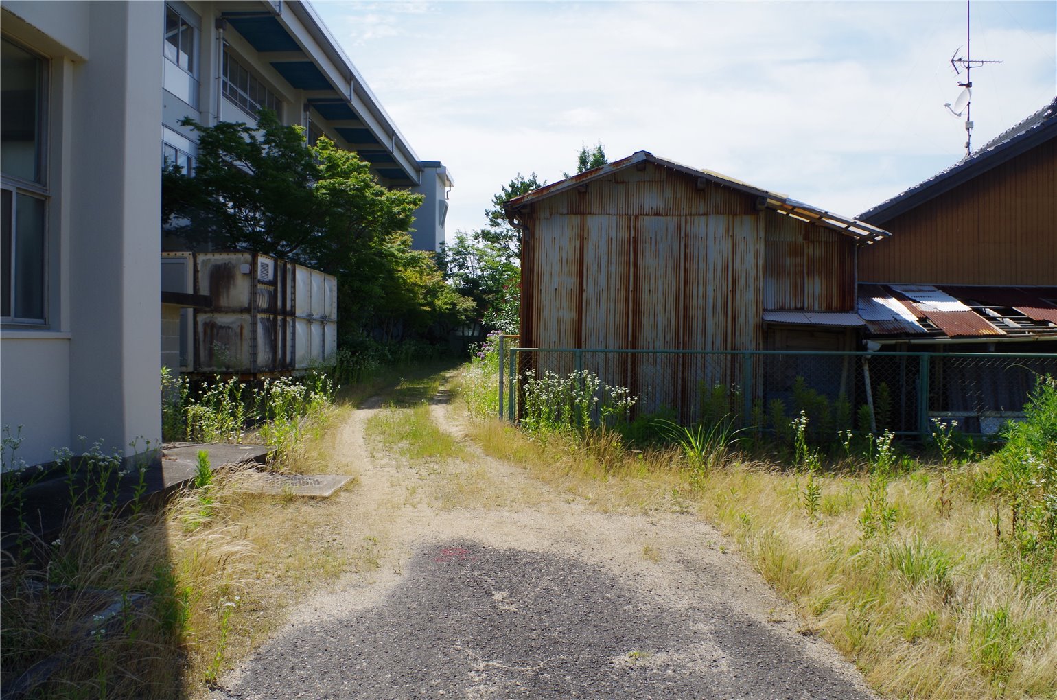 26_5の画像