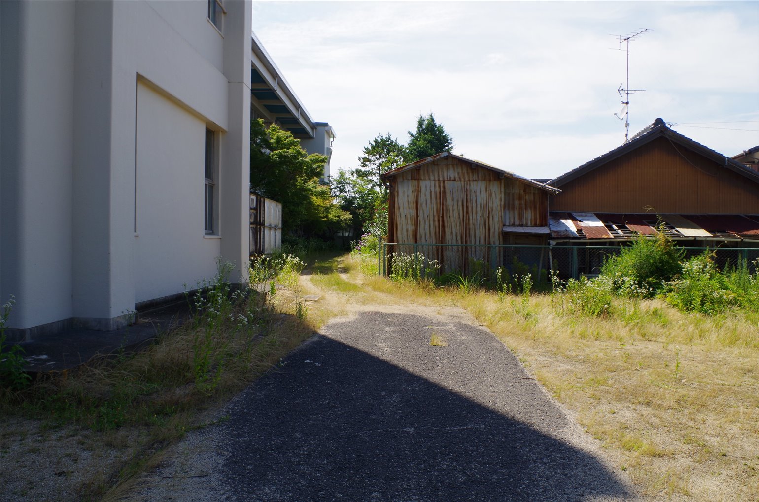 28_5の画像
