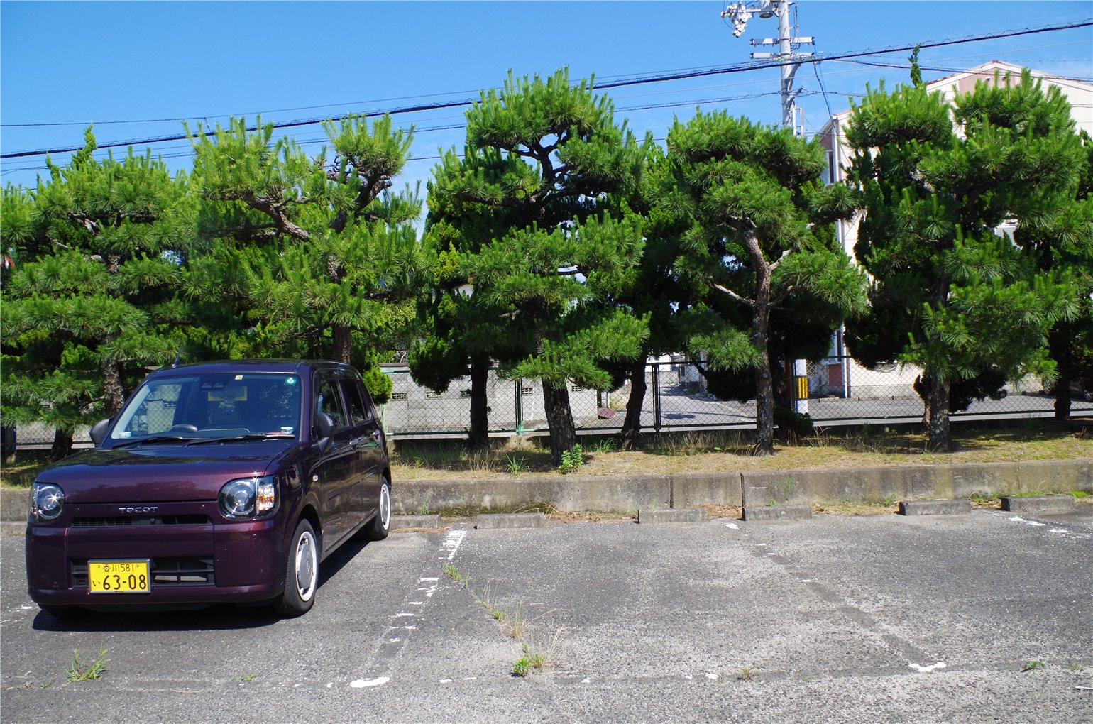 35_2の画像